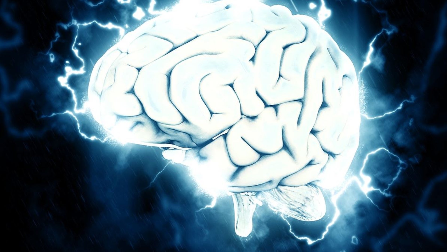 Cerebro