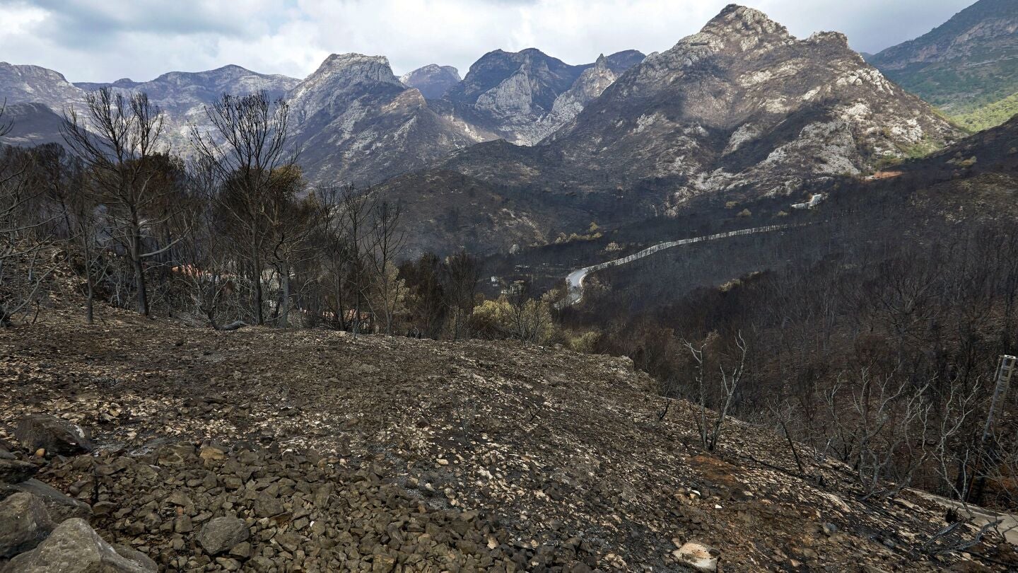 Imagen del incendio controlado en Llutxent