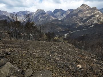 Imagen del incendio controlado en Llutxent Imagen del incendio controlado en Llutxent