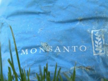 Monsanto, condenada por no advertir que sus herbicidas podían ser cancerígenos Monsanto, condenada por no advertir que sus herbicidas podían ser cancerígenos