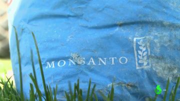 Monsanto, condenada por no advertir que sus herbicidas podían ser cancerígenos
