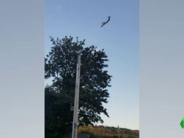 El vídeo que muestra las temerarias maniobras del hombre que robó un avión comercial en Seattle antes de estrellarse El vídeo que muestra las temerarias maniobras del hombre que robó un avión comercial en Seattle antes de estrellarse