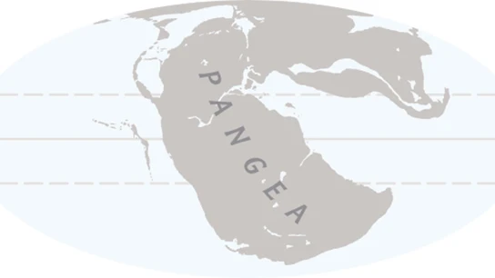 El supercontinente Pangea El supercontinente Pangea