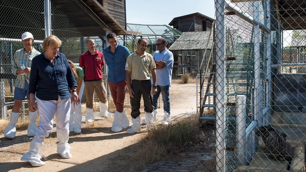 Sánchez y Merkel en su visita al centro de El Acebuche, en el parque nacional de Doñana