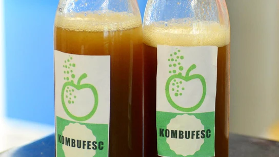 Crean bebida fermentada que reduce niveles de glucosa y presión en México Crean bebida fermentada que reduce niveles de glucosa y presión en México