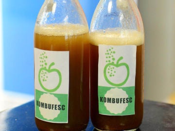 Crean bebida fermentada que reduce niveles de glucosa y presión en México Crean bebida fermentada que reduce niveles de glucosa y presión en México