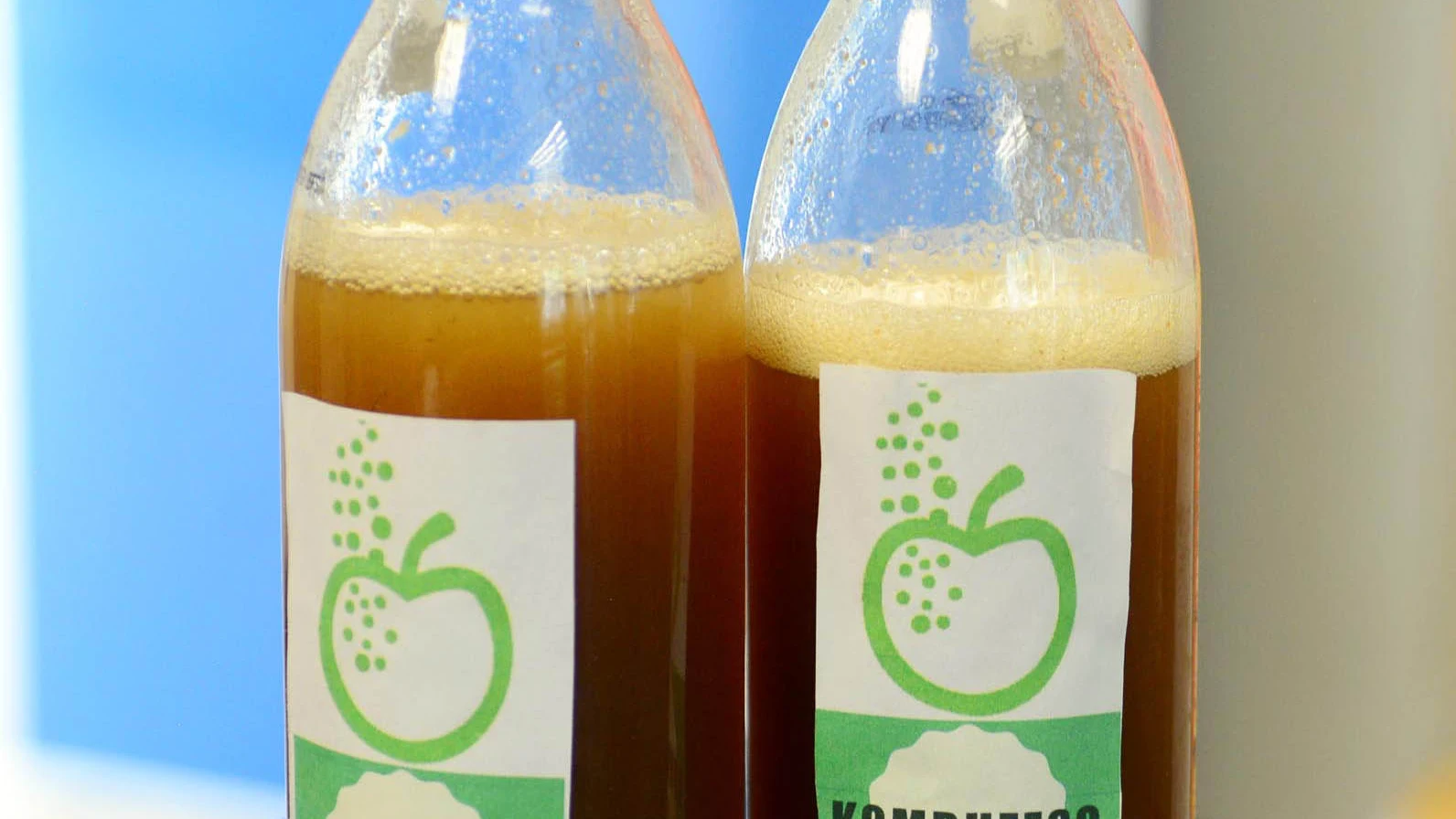 Crean bebida fermentada que reduce niveles de glucosa y presión en México