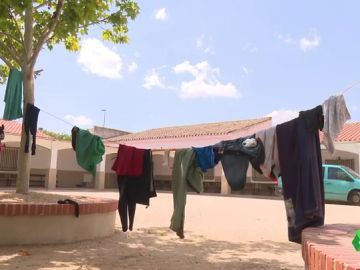 Tomelloso abre un alberge de 50 plazas ante la situación de decenas de temporeros que se ven obligados a dormir la calle o en pisos patera de la provincia de Ciudad Real Tomelloso abre un alberge de 50 plazas ante la situación de decenas de temporeros que se ven obligados a dormir la calle o en pisos patera de la provincia de Ciudad Real