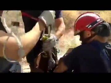 Rescatan a unos cachorros que fueron arrojados a una tubería en Murcia Rescatan a unos cachorros que fueron arrojados a una tubería en Murcia