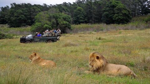Razones por las que viajar a Sudáfrica 