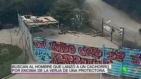 Buscan al hombre que lanzó a un cachorro por encima de la verja de una protectora Buscan al hombre que lanzó a un cachorro por encima de la verja de una protectora