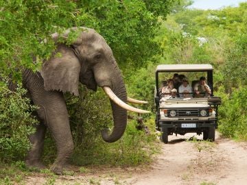 Parque Nacional Kruger 