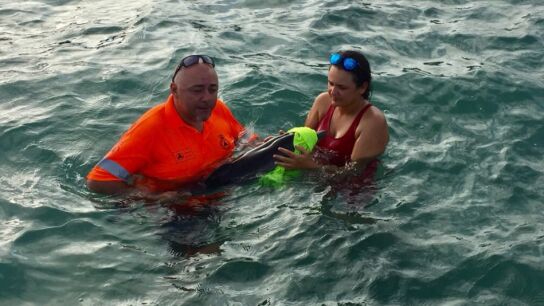 Protecci&oacute;n Civil rescata una cr&iacute;a de delf&iacute;n en La Manga