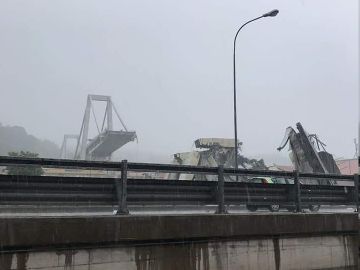 Colapso parcial del puente, que se ha venido abajo en una zona urbana