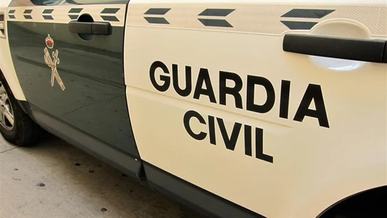 Detienen a una mujer por una presunta estafa de 113.000 euros a la discapacitada que cuidaba Detienen a una mujer por una presunta estafa de 113.000 euros a la discapacitada que cuidaba