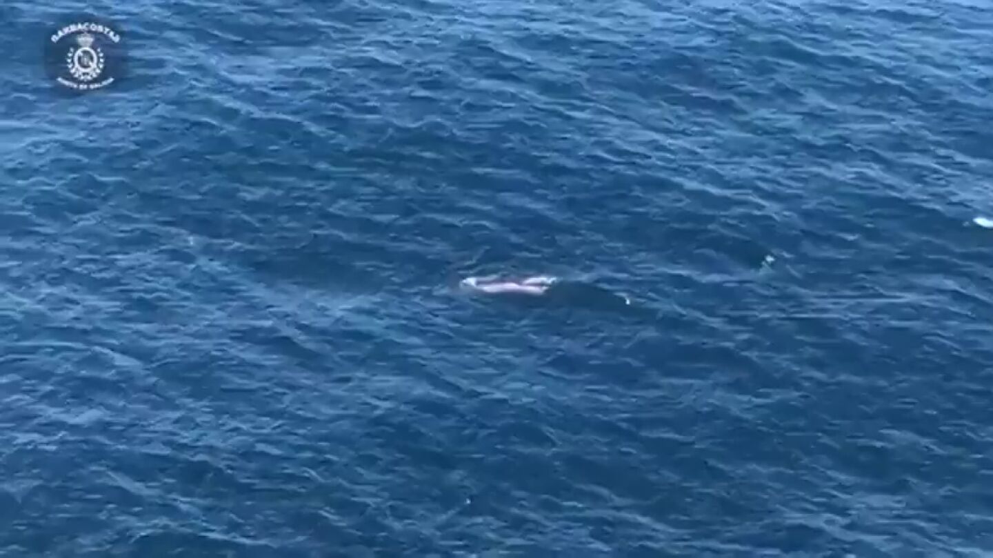 Una ballena ha sido avistada con su cr&iacute;a frente a la costa de Corrubedo, una parroquia del municipio de coru&ntilde;es de Ribeira.