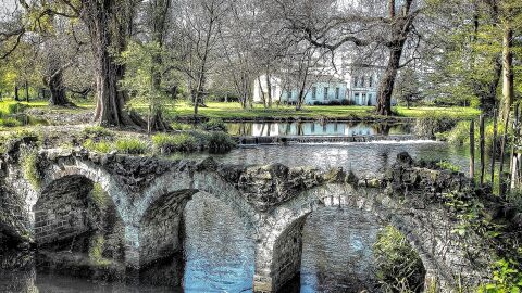 Una ruta por Londres de parque en parque