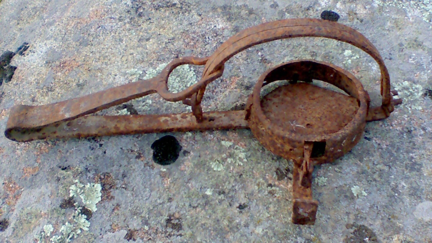 Cepo para cazar jabal&iacute;es