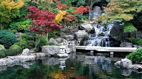 Holland Park, Londres Una ruta por Londres de parque en parque