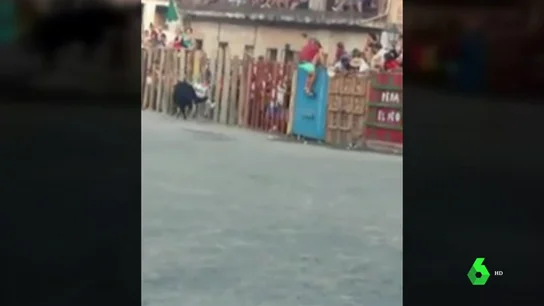 Una mujer recibe una gravísima cornada en las fiestas de Garrovillas de Alconétar, Cáceres Una mujer recibe una gravísima cornada en las fiestas de Garrovillas de Alconétar, Cáceres