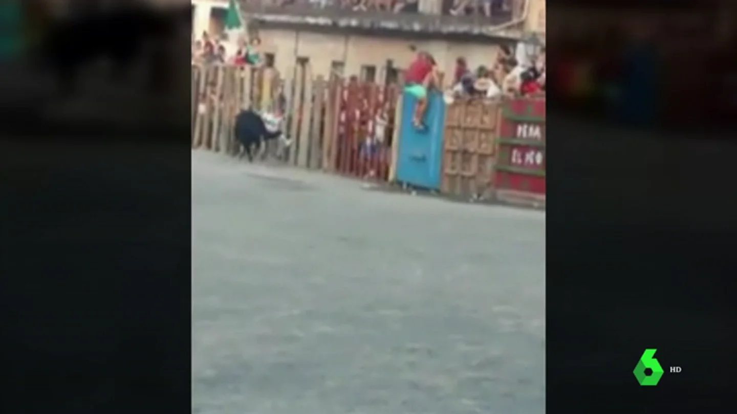 Una mujer recibe una gravísima cornada en las fiestas de Garrovillas de Alconétar, Cáceres Una mujer recibe una gravísima cornada en las fiestas de Garrovillas de Alconétar, Cáceres