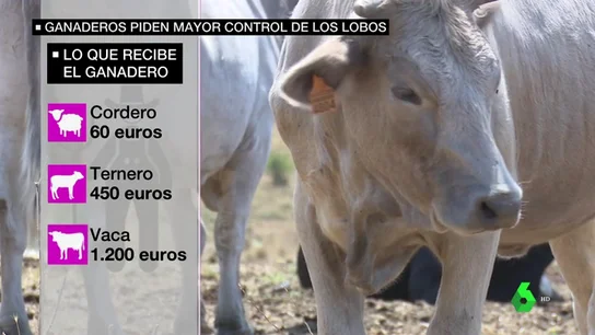 AMENAZA LOBOS AMENAZA LOBOS