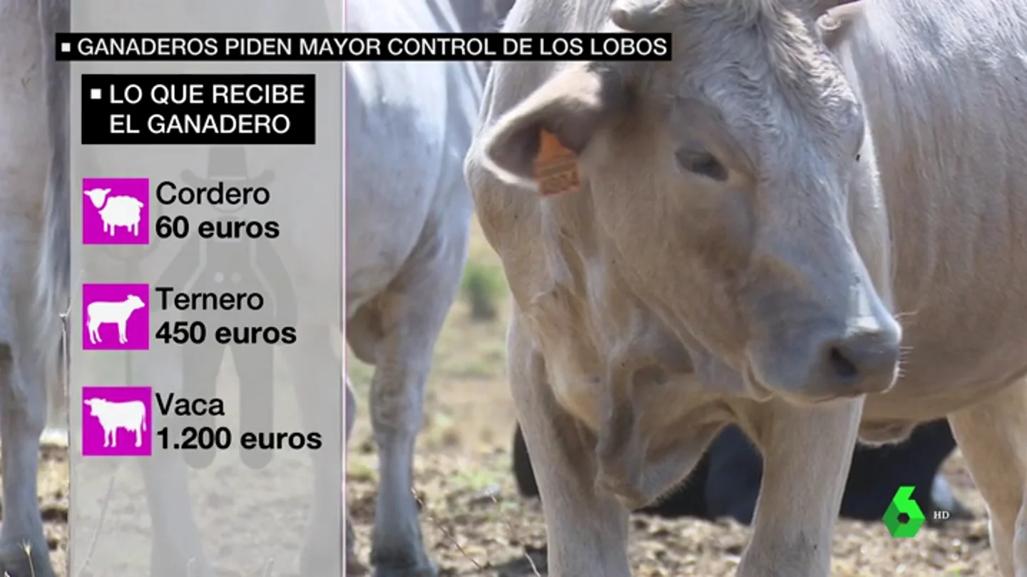 AMENAZA LOBOS AMENAZA LOBOS