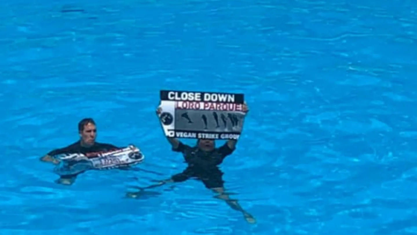 Activistas irrumpen en Loro Parque Activistas irrumpen en Loro Parque