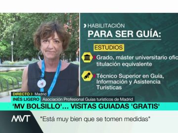 Habla una guía turística sobre la actividad de los free tour: "Nos duele que ellos estén en la calle y nosotros, que estamos habilitados, en casa" Habla una guía turística sobre la actividad de los free tour: "Nos duele que ellos estén en la calle y nosotros, que estamos habilitados, en casa"