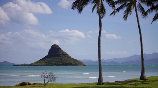 Oahu, Hawaii ¿Sabes dónde se rodaron las escenas de la exitosa trilogía Los Juegos del Hambre?