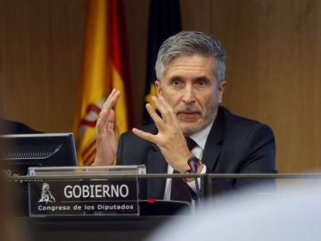 El ministro del Interior, Fernando Grande-Marlaska El ministro del Interior, Fernando Grande-Marlaska