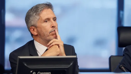 El ministro del Interior, Fernando Grande-Marlaska El ministro del Interior, Fernando Grande-Marlaska