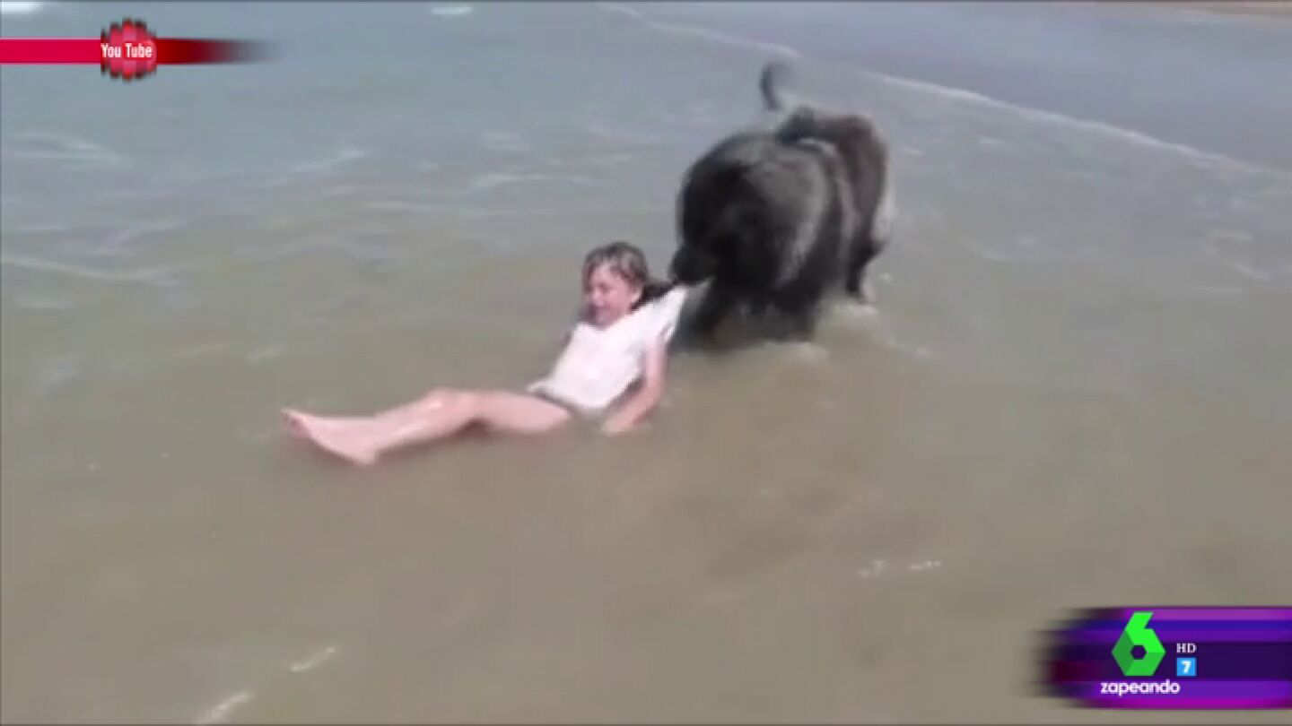 Un perro saca a un ni&ntilde;a del agua