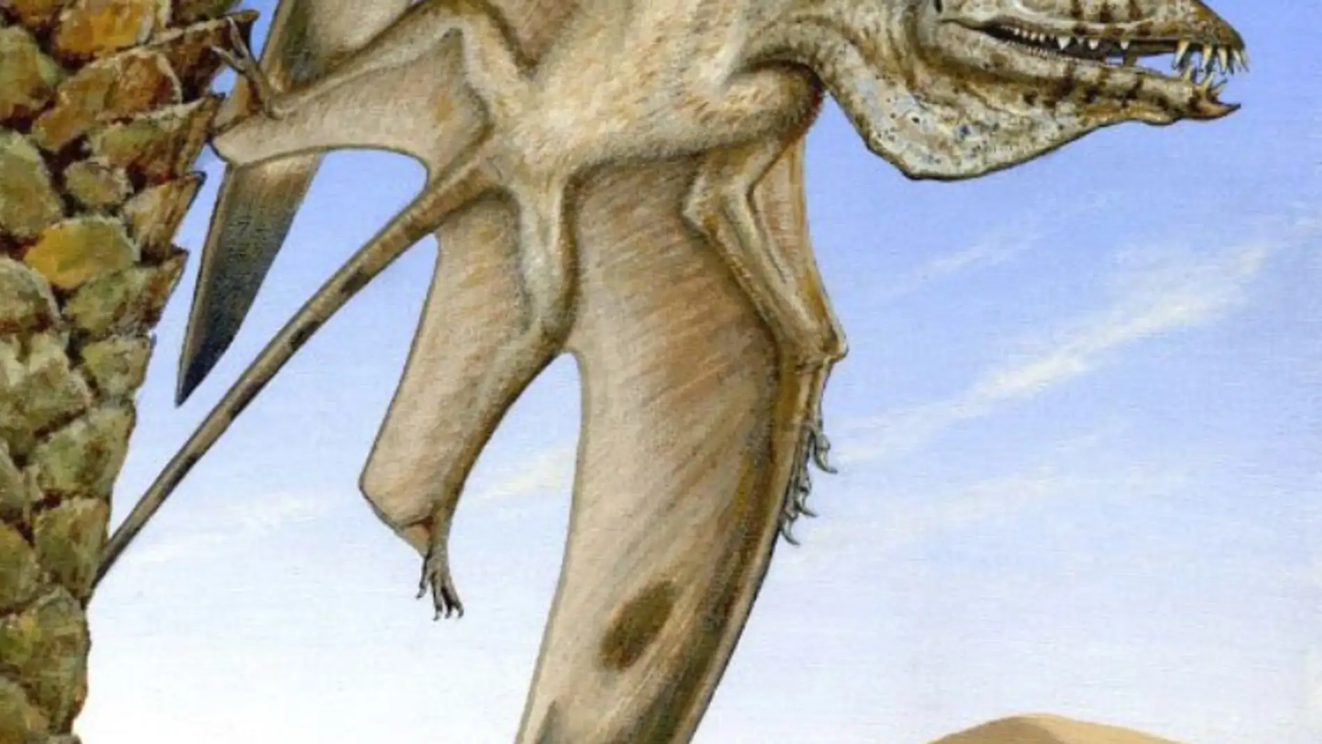 Caelestiventus hanseni