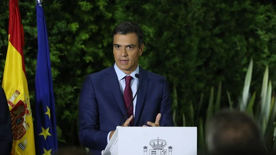 Pedro Sánchez en una imagen de archivo Pedro Sánchez en una imagen de archivo