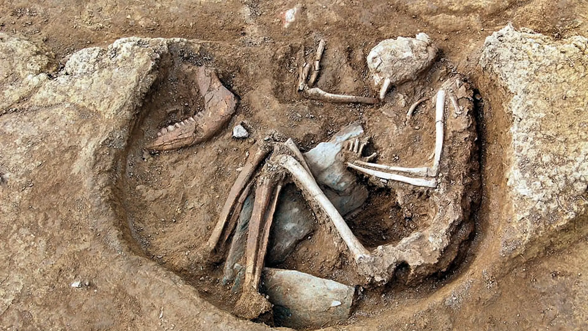Reuniendo a los muertos y congregando a los vivos