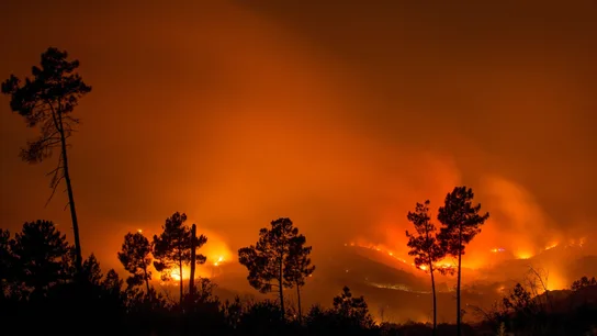 Incendio en Monterrei, Galicia Incendio en Monterrei, Galicia