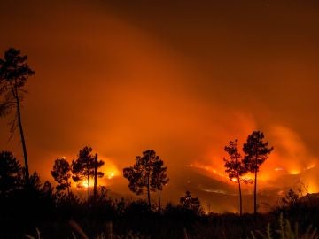 Incendio en Monterrei, Galicia Incendio en Monterrei, Galicia