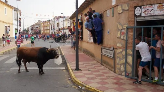 Fernan Caballero celebra este jueves el encierro de toros Fernan Caballero celebra este jueves el encierro de toros