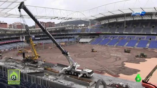 anoeta anoeta
