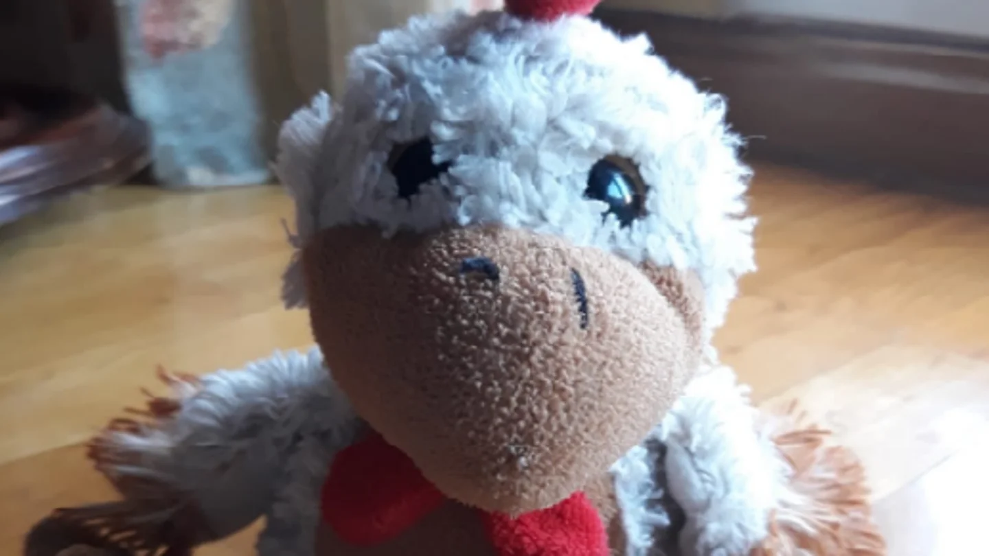 Kiki, el pollito de peluche que arrasa las redes Kiki, el pollito de peluche que arrasa las redes