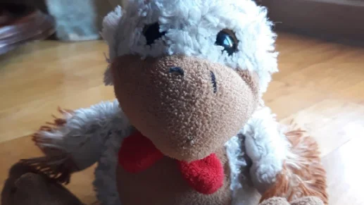Kiki, el pollito de peluche que arrasa las redes