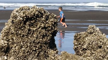 Playa de Oregon, EEUU