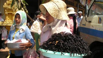 Camboya