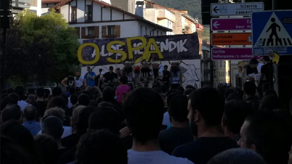 Imagen de la manifestación en Alsasua