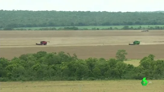 Deforestada en Brasil un área de la sabana del mismo tamaño que Corea del Sur Deforestada en Brasil un área de la sabana del mismo tamaño que Corea del Sur