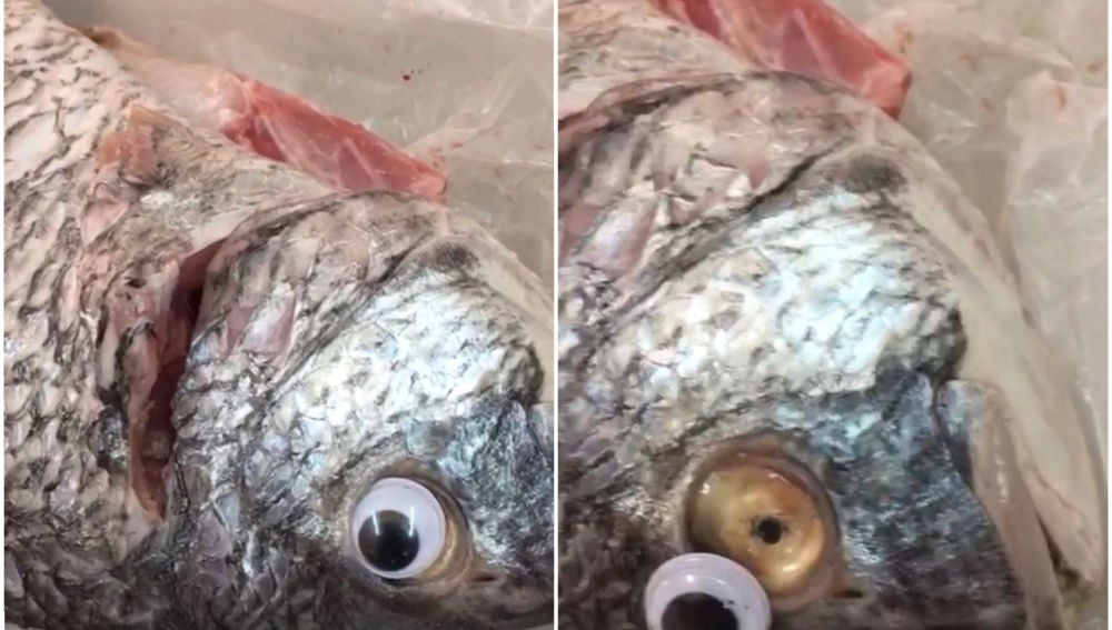 Pescados con el ojo falso y sin el ojo falso