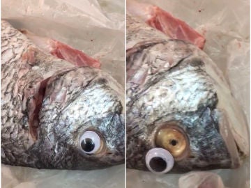 Pescados con el ojo falso y sin el ojo falso Pescados con el ojo falso y sin el ojo falso