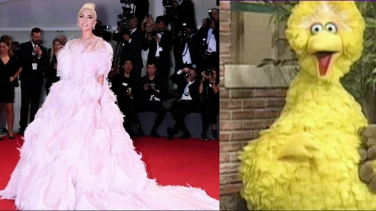 Lady Gaga y su parecido con la gallina Caponata Lady Gaga y su parecido con la gallina Caponata