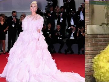 Lady Gaga y su parecido con la gallina Caponata Lady Gaga y su parecido con la gallina Caponata